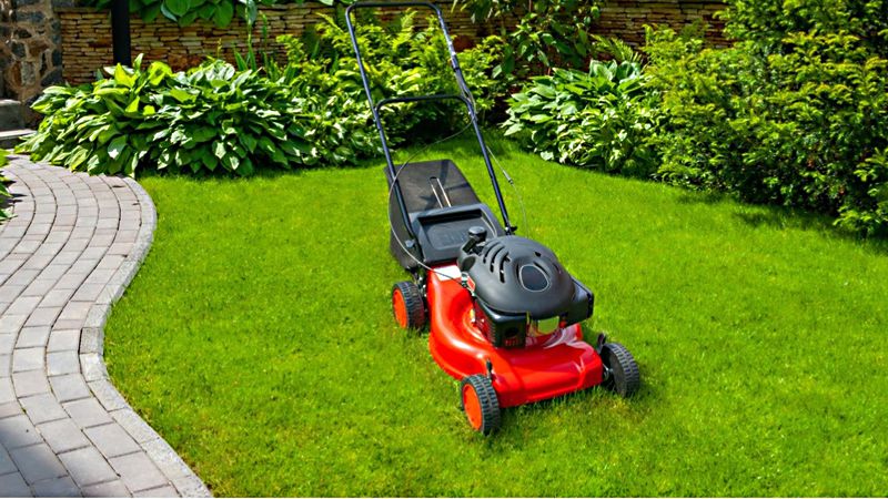 GENERAL LAWN CARE