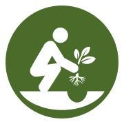 Effort in the details