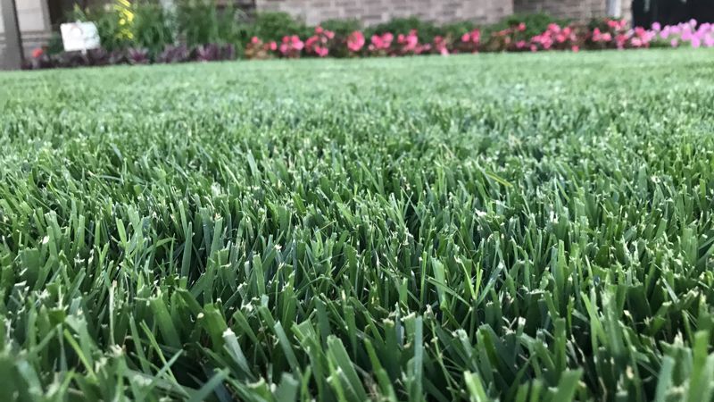 LAWN AERATION