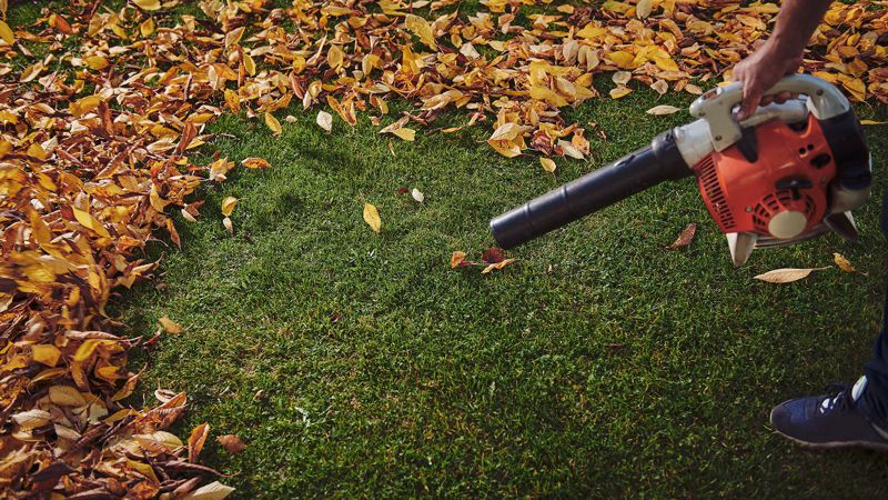 SPRING AND FALL CLEAN UPS